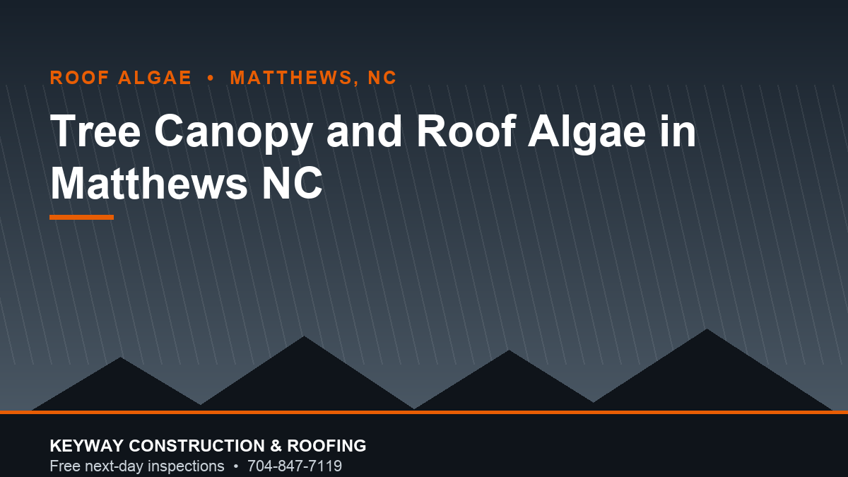 Algae streaking on a tree-shaded roof in Matthews NC